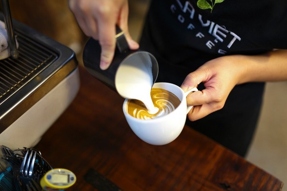The Life of a Professional Barista: Crafting Perfection in Every Cup
