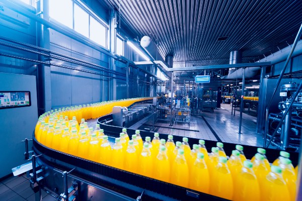 Digital Transformation in the Food and Beverage Industry