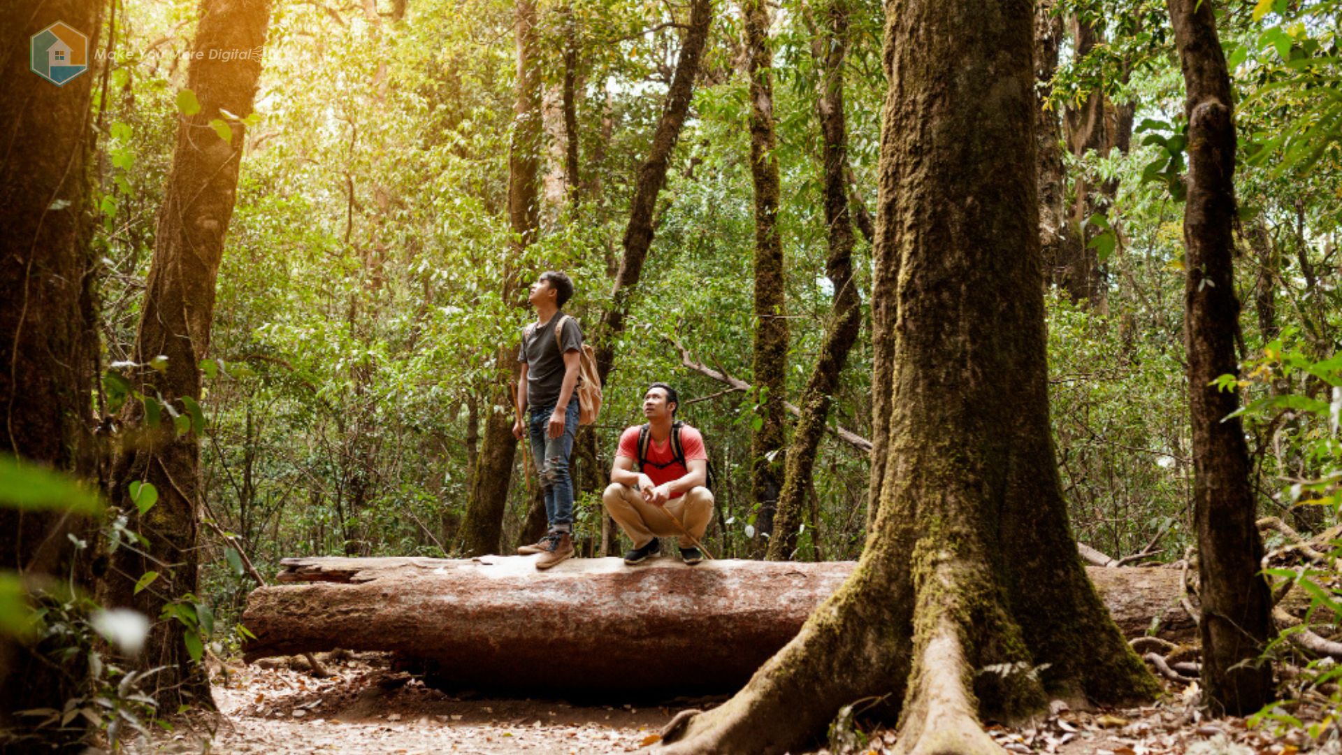 wisata alam ekowisata